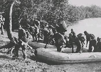 Agression du 22 Novembre 1970 contre la Guinée: voici le récit d’un historien sur les causes et conséquence