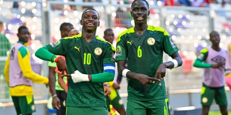Sénégal / SPORT / Coupe du Monde U17 : Succès continu pour les Lionceaux du Sénégal