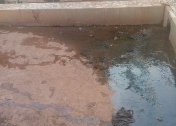 Odeurs nauséabondes et manque d’entretien : les réalités des latrines de la grande mosquée de Labé