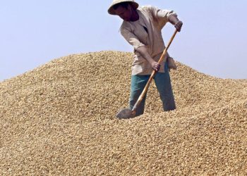 Le Québec finance un Projet d’adaptation au changement climatique dans la région arachidière de Kaolack