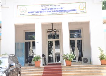 Brouillage d’ondes en Guinée : un premier responsable se fait officiellement connaître 