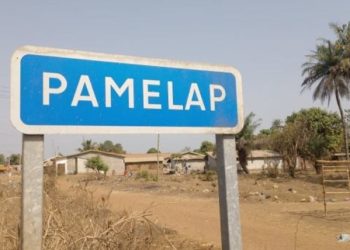 Frontières Guinée-Sierra Leone : immersion dans les tracasseries policières à Pamelap 