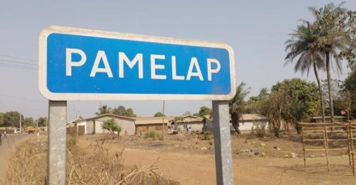 Frontières Guinée-Sierra Leone : immersion dans les tracasseries policières à Pamelap