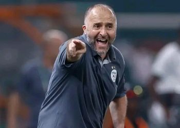 Algérie : nouveau rebondissement dans la démission de l’entraîneur des Fennecs 