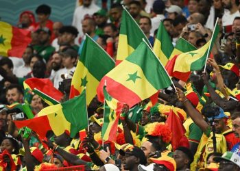 CAN 2023 : conditions d’entrée renforcées pour les supporters