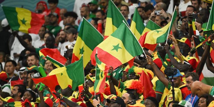 CAN 2023 : conditions d’entrée renforcées pour les supporters
