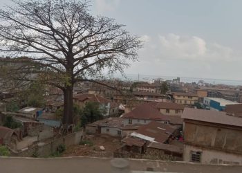 Freetown : à la rencontre des individus qui n’aiment pas être appelés par leur origine 