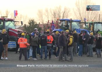 Colère des agriculteurs : En France, 79 personnes appréhendées après des actes de vandalisme au marché de Rungis