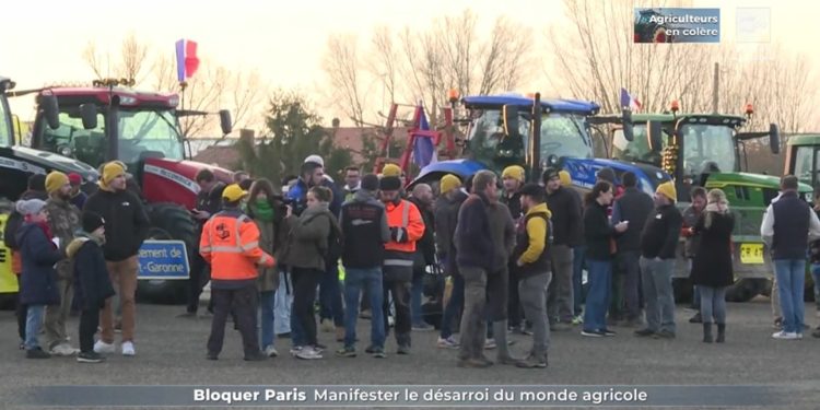 Colère des agriculteurs : En France, 79 personnes appréhendées après des actes de vandalisme au marché de Rungis