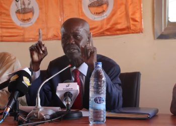 Célestin Topona Mocnga : « l’UNDR reste un maillon essentiel de la Transition en cours au Tchad »