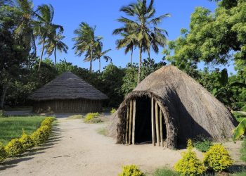 ​Le village Museum de Dar es-Salaam en Tanzanie : un trésor en plein air pour préserver l’héritage culturel