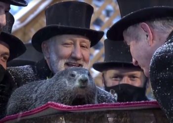 La marmotte météorologue américaine prédit un printemps précoce