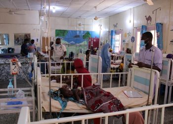 Épidémie de méningite au Nigeria : au moins 17 écoliers décédés