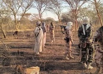 Au Tchad, 42 morts dans de nouveaux combats entre deux communautés