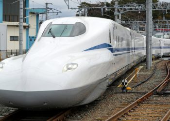 Japon : un serpent retarde un train à grande vitesse
