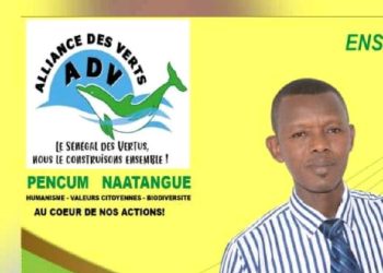 La croisade des « verts » en faveur de la protection de l’environnement