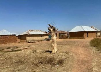 Nigéria : une attaque islamiste fait des dizaines de morts dans un village    