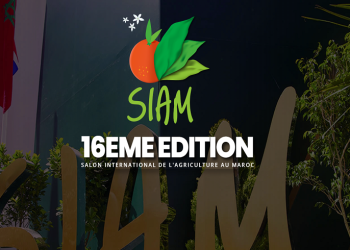 L’agriculture à l’épreuve du changement climatique