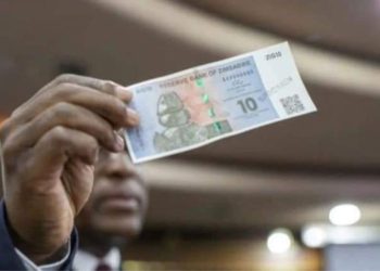Début chaotique pour le ZiG, nouvelle monnaie officielle du Zimbabwe