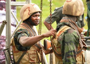 Des soldats nigérians périssent dans une embuscade tendue par des bandits