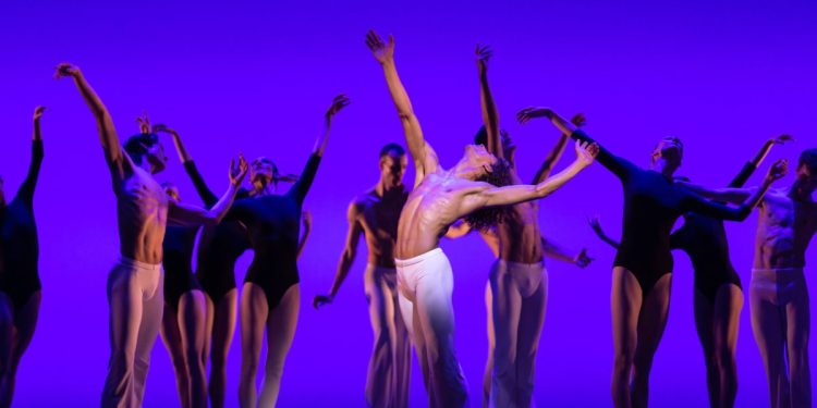 La danse, un art transversal