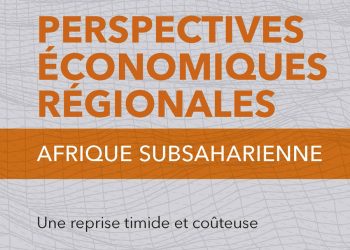 Reprise timide de la croissance économique en Afrique subsaharienne