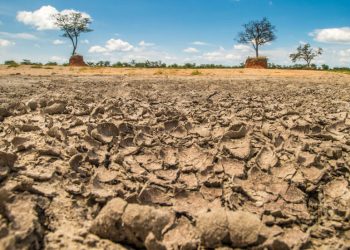 El Niño : facteur de crise climatique et d’insécurité alimentaire en Afrique australe