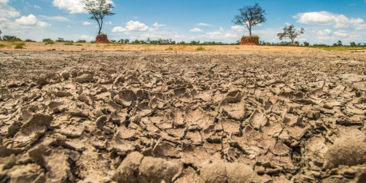 El Niño : facteur de crise climatique et d’insécurité alimentaire en Afrique australe
