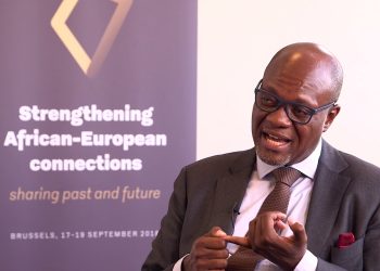 Afrique du Sud:« Le gros problème pour ces élections risque d’être l’abstention »(Paul-Simon Handy)