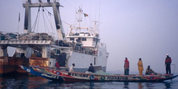 Vers un nouveau souffle pour les pêcheurs au Sénégal