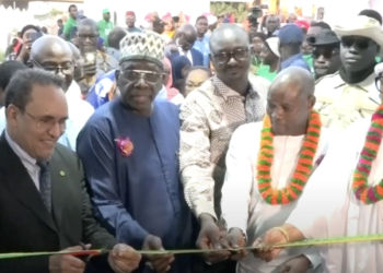 Des opérateurs économiques africains misent sur la diplomatie économique pour réduire les barrières commerciales