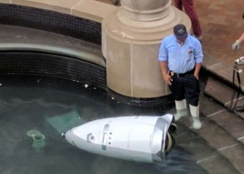  Insolite : enquête sur les raisons de la chute d’un robot en Corée du Sud