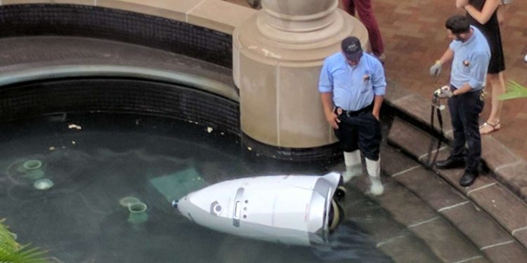 Insolite : enquête sur les raisons de la chute d’un robot en Corée du Sud