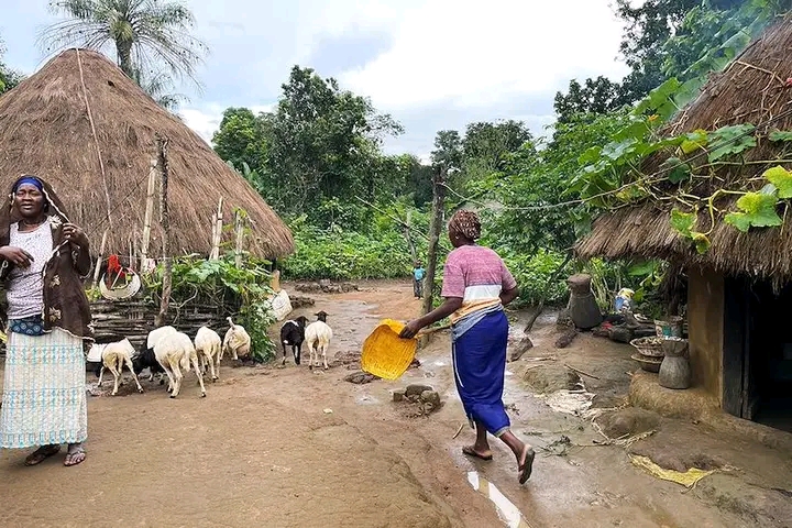 Guinée : un maître coranique tabassé pour avoir qualifié l’Achoura de « fausse fête »