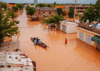 Crue du fleuve Sénégal : le spectre d’un retour des inondations de 2024