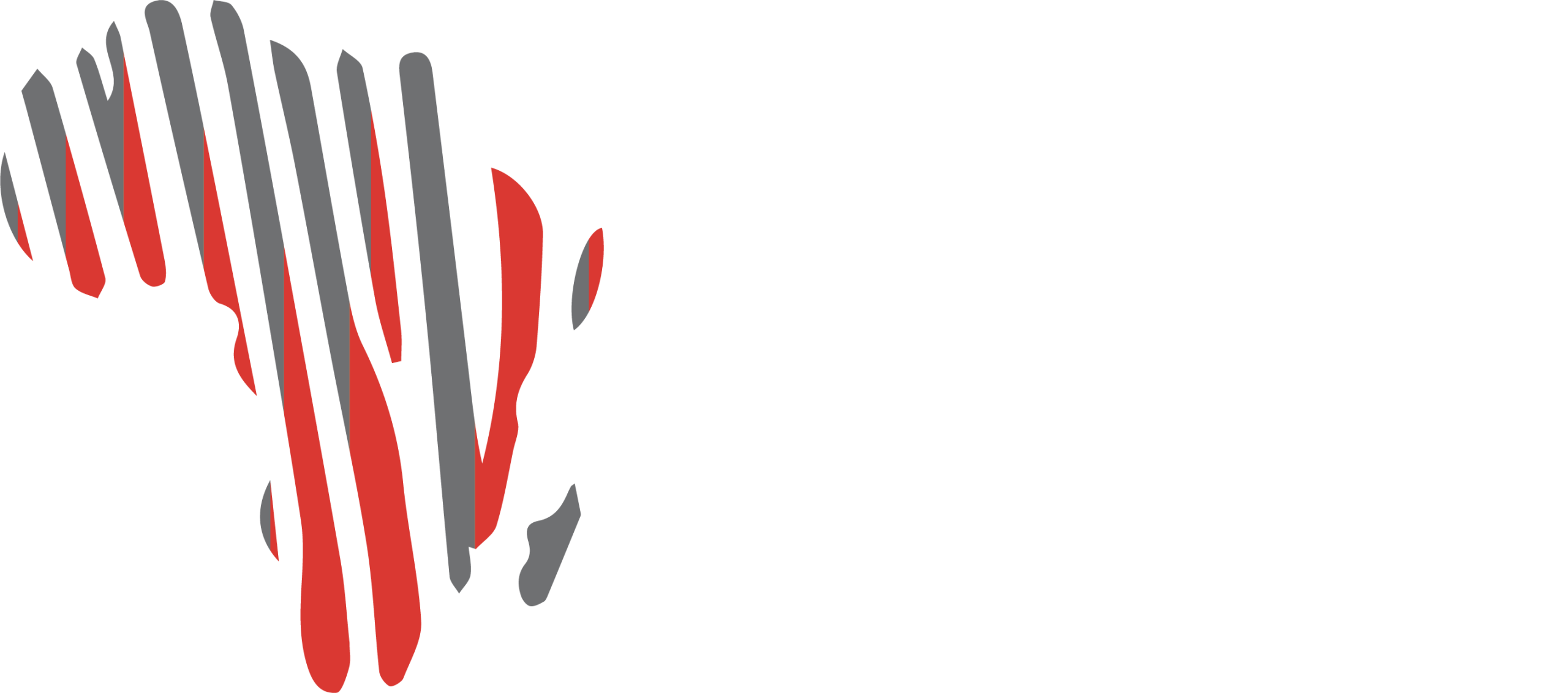 Les Nouvelles d'Afrique