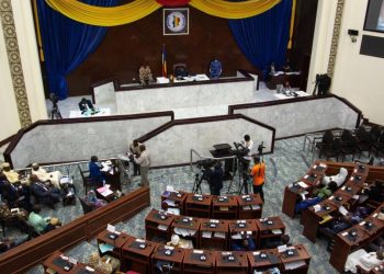 Tchad : La constitution change de cap