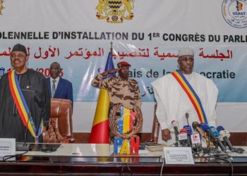 Réforme constitutionnelle au Tchad : le Parlement passe à la vitesse supérieure