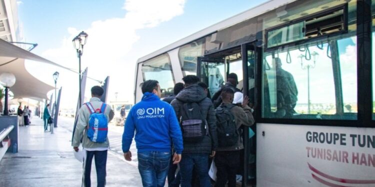 Tunisie – 105 Gambiens rapatriés « volontairement » par l’OIM