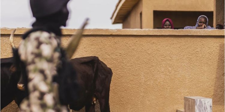 Nigeria : au moins 63 morts dans une attaque djihadiste à Darul Jamal