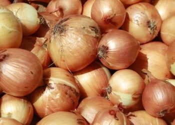 Sénégal : levée du gel des importations d’oignons