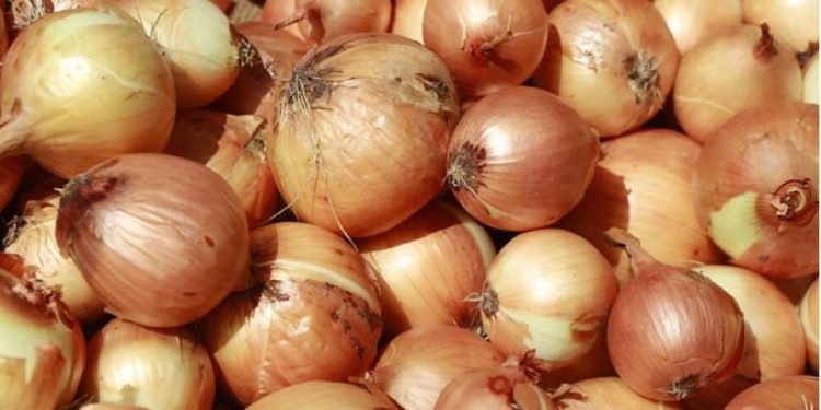 Sénégal : levée du gel des importations d’oignons