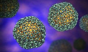 Qu’est-ce que la Fièvre de la Vallée du Rift?