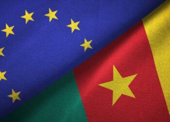 Violences post-électorales au Cameroun : l’UE « profondément préoccupée » !