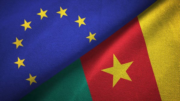 Violences post-électorales au Cameroun : l’UE « profondément préoccupée » !