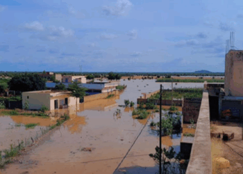 Crue du fleuve : Ballou aura une digue dès 2026