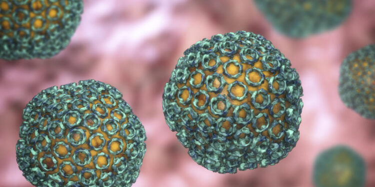 Fièvre de la Vallée du Rift : 19 décès en un seul mois !