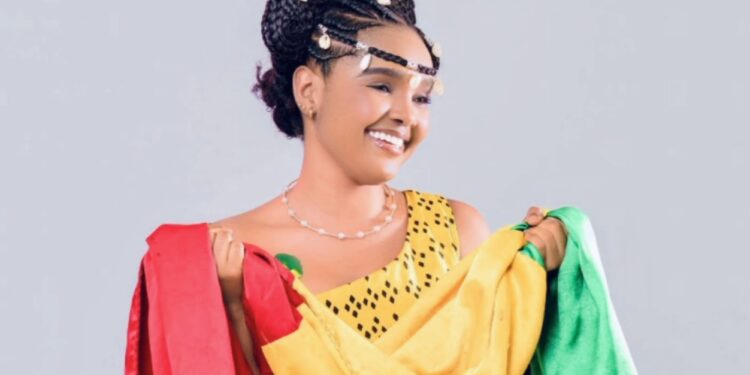 Vol ou enlèvement ? La vérité sur l’arrestation de Télly Oury Diallo révélée par le Parquet