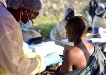 Sénégal : Deux nouveaux décès liés à la Fièvre de la Vallée du Rift