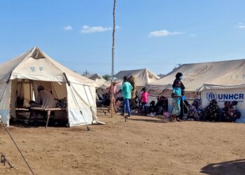 Horreur au Darfour : 460 morts dans une maternité, l’OMS lance un cri d’alarme